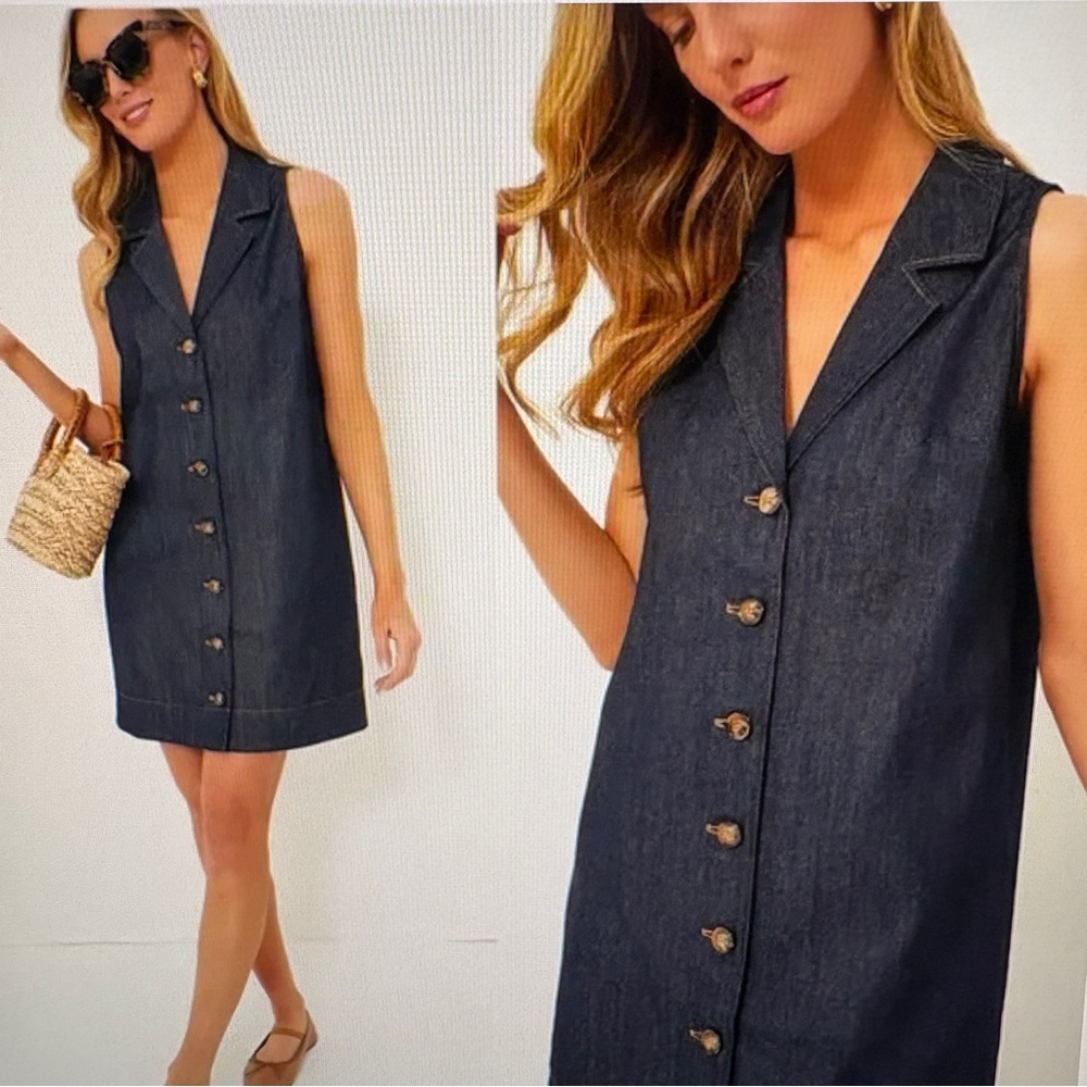 Tuckernuck Micah Denim Sleeveless Dress  Small